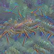 n01983481 American lobster, Northern lobster, Maine lobster, Homarus americanus